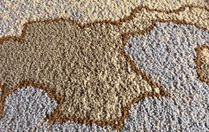 Machine à Tufter Tapis COLORDOT, en Velours bouclés à multiples niveaux